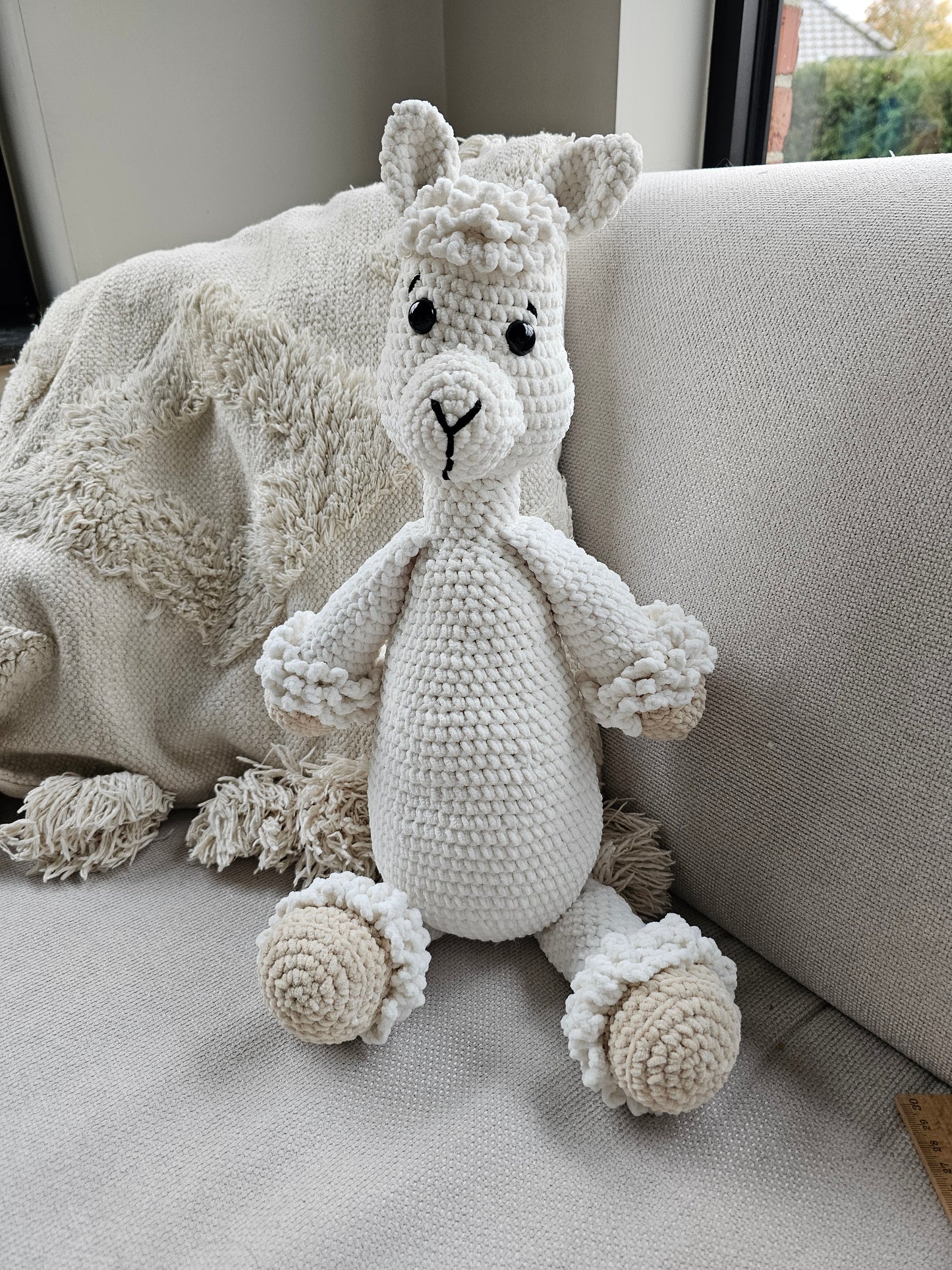 Alpaca